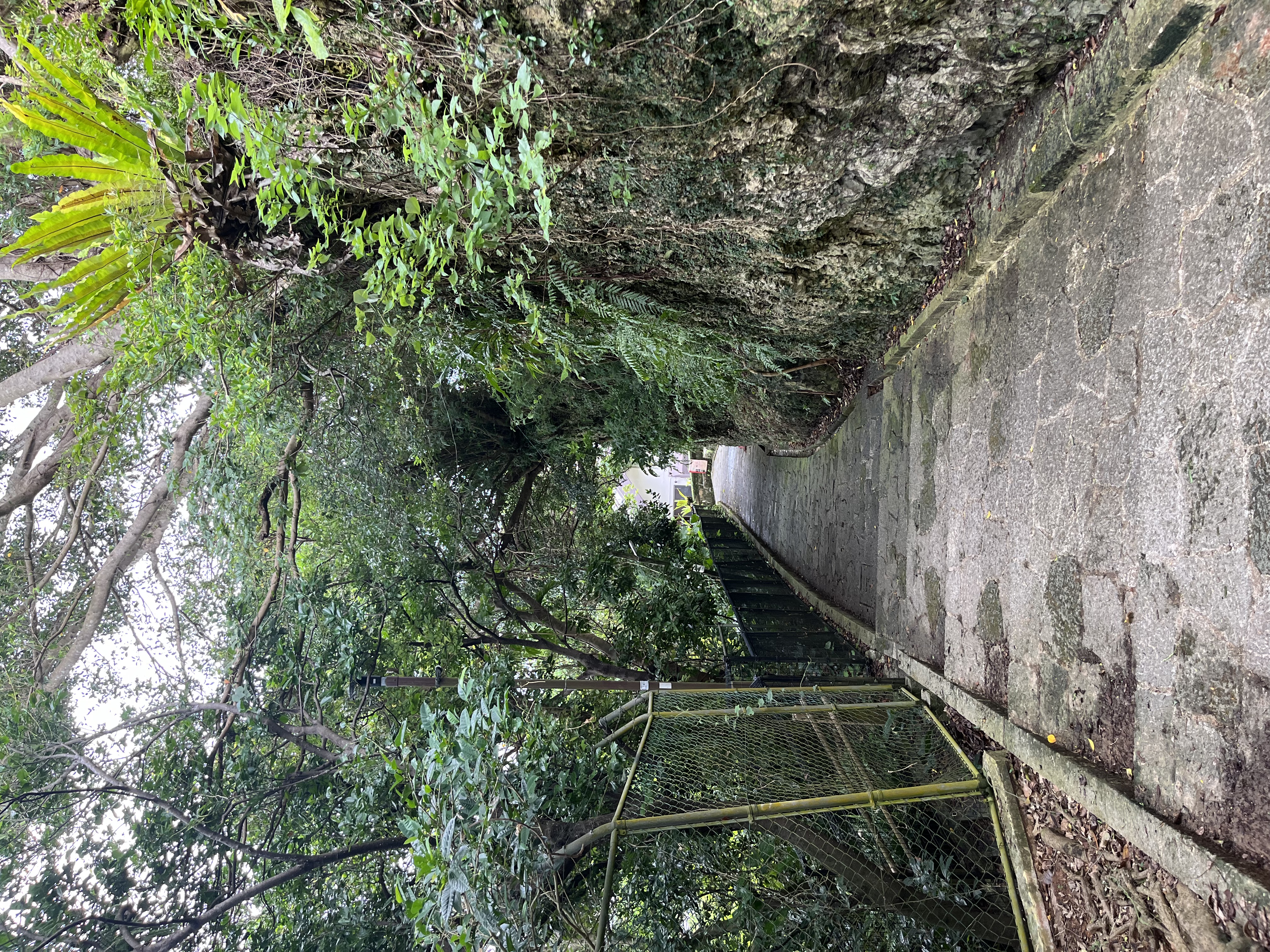 슈리성 근처 산책로